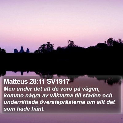 Matteus 28:11 SV1917 Bible Verse Image