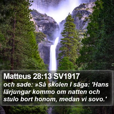 Matteus 28:13 SV1917 Bible Verse Image