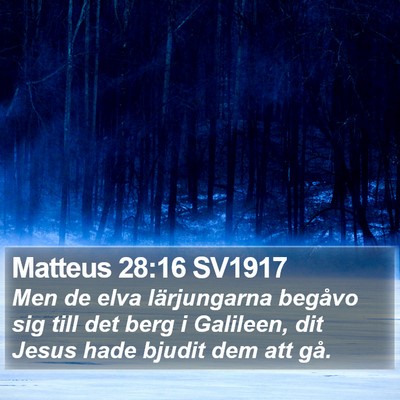 Matteus 28:16 SV1917 Bible Verse Image