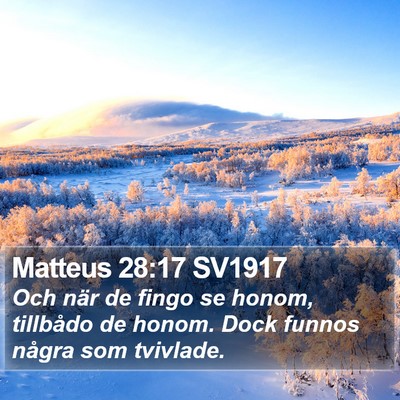 Matteus 28:17 SV1917 Bible Verse Image