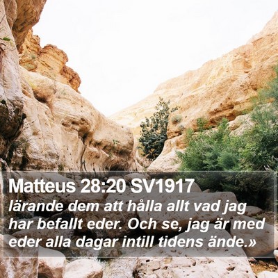 Matteus 28:20 SV1917 Bible Verse Image