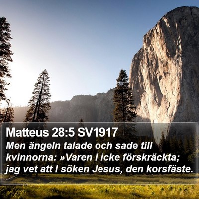 Matteus 28:5 SV1917 Bible Verse Image