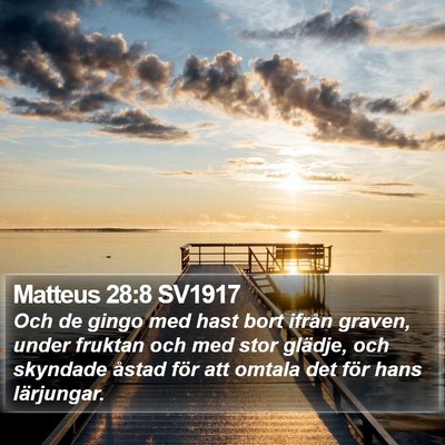 Matteus 28:8 SV1917 Bible Verse Image