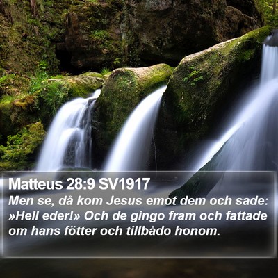 Matteus 28:9 SV1917 Bible Verse Image