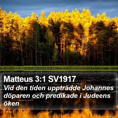 Matteus 3:1 SV1917 Bible Verse Image