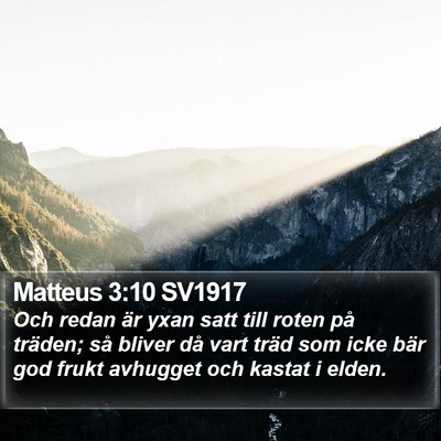 Matteus 3:10 SV1917 Bible Verse Image