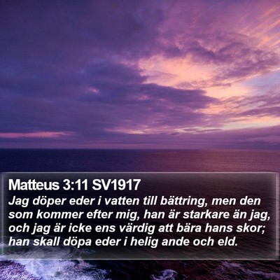 Matteus 3:11 SV1917 Bible Verse Image