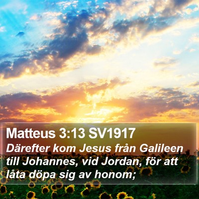Matteus 3:13 SV1917 Bible Verse Image