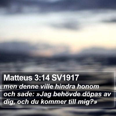 Matteus 3:14 SV1917 Bible Verse Image