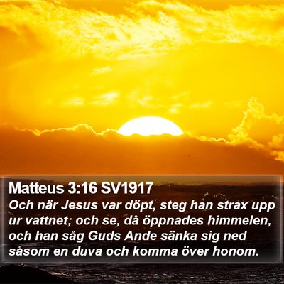 Matteus 3:16 SV1917 Bible Verse Image