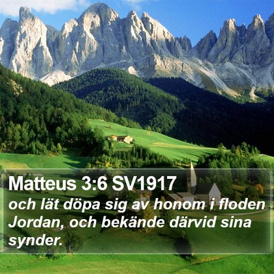 Matteus 3:6 SV1917 Bible Verse Image
