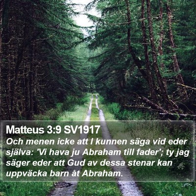 Matteus 3:9 SV1917 Bible Verse Image