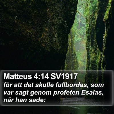 Matteus 4:14 SV1917 Bible Verse Image
