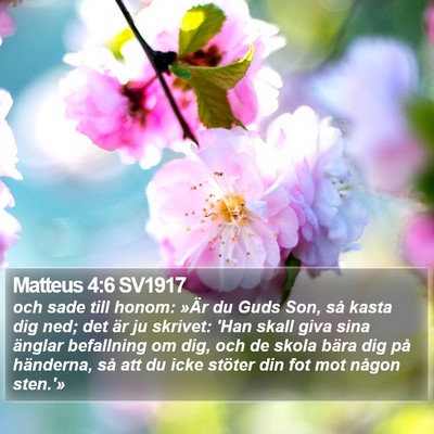 Matteus 4:6 SV1917 Bible Verse Image