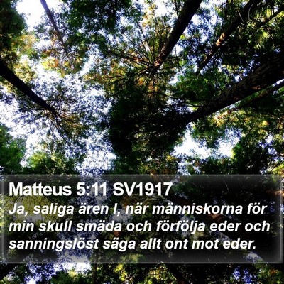 Matteus 5:11 SV1917 Bible Verse Image