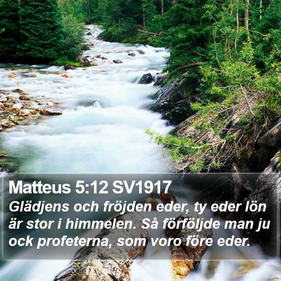 Matteus 5:12 SV1917 Bible Verse Image