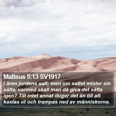 Matteus 5:13 SV1917 Bible Verse Image
