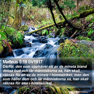 Matteus 5:19 SV1917 Bible Verse Image