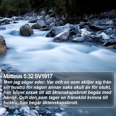 Matteus 5:32 SV1917 Bible Verse Image
