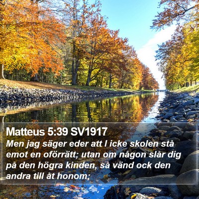 Matteus 5:39 SV1917 Bible Verse Image