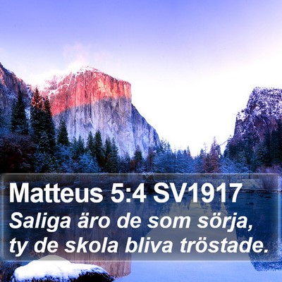 Matteus 5:4 SV1917 Bible Verse Image