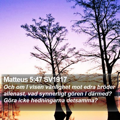 Matteus 5:47 SV1917 Bible Verse Image