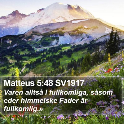Matteus 5:48 SV1917 Bible Verse Image