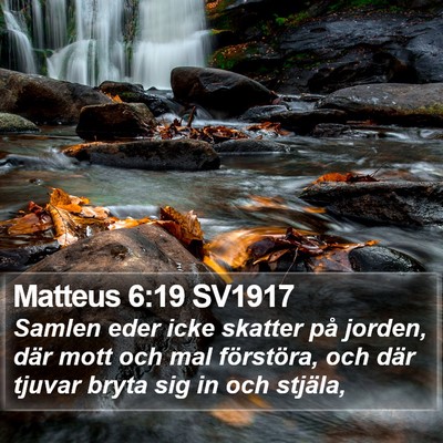 Matteus 6:19 SV1917 Bible Verse Image