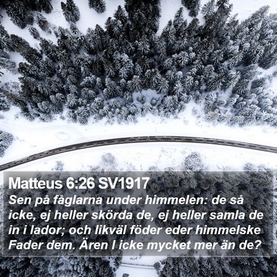 Matteus 6:26 SV1917 Bible Verse Image
