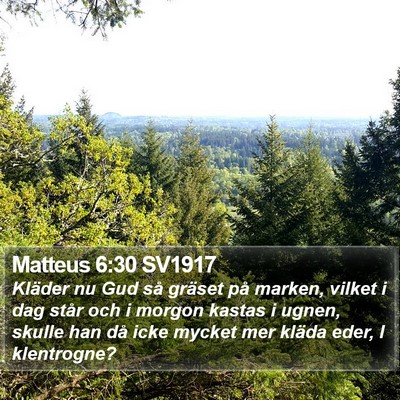 Matteus 6:30 SV1917 Bible Verse Image