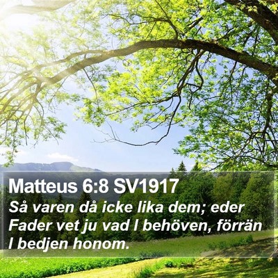 Matteus 6:8 SV1917 Bible Verse Image