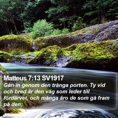 Matteus 7:13 SV1917 Bible Verse Image