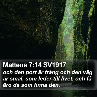 Matteus 7:14 SV1917 Bible Verse Image