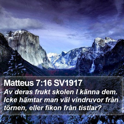 Matteus 7:16 SV1917 Bible Verse Image