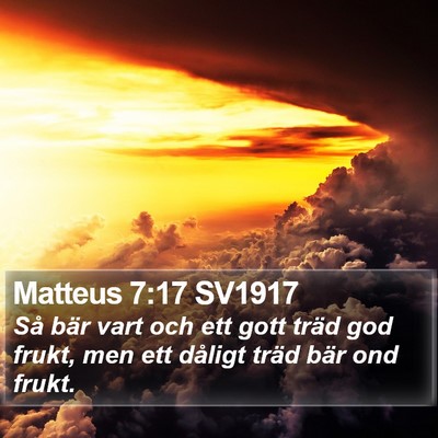 Matteus 7:17 SV1917 Bible Verse Image