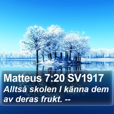 Matteus 7:20 SV1917 Bible Verse Image