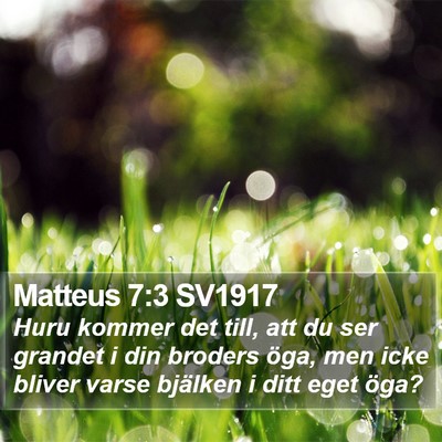 Matteus 7:3 SV1917 Bible Verse Image