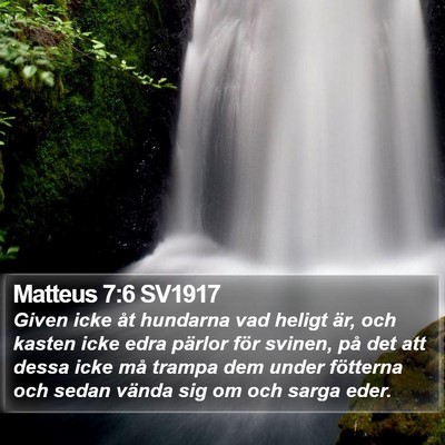 Matteus 7:6 SV1917 Bible Verse Image