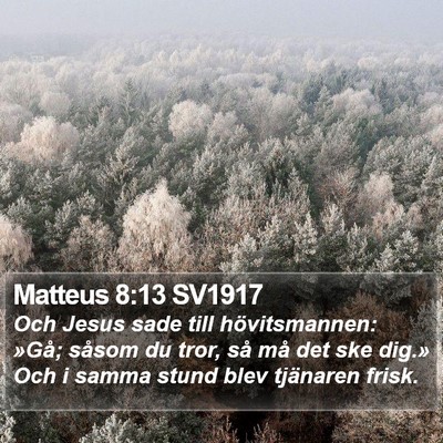 Matteus 8:13 SV1917 Bible Verse Image
