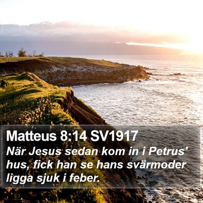 Matteus 8:14 SV1917 Bible Verse Image