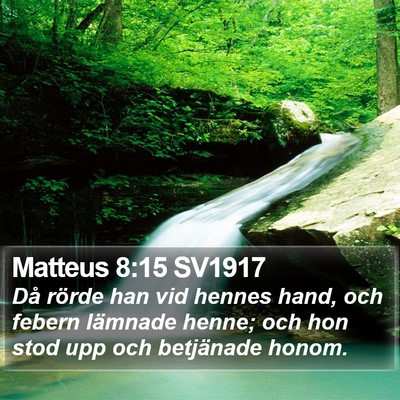 Matteus 8:15 SV1917 Bible Verse Image