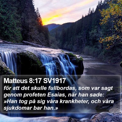 Matteus 8:17 SV1917 Bible Verse Image