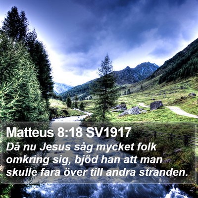 Matteus 8:18 SV1917 Bible Verse Image