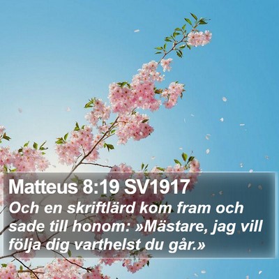 Matteus 8:19 SV1917 Bible Verse Image