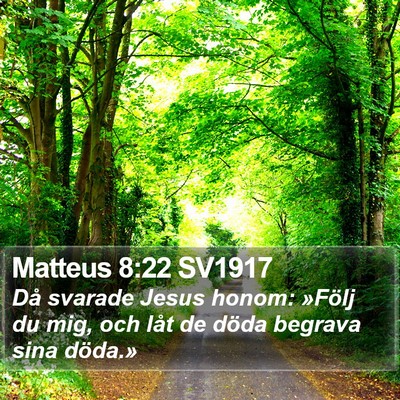 Matteus 8:22 SV1917 Bible Verse Image