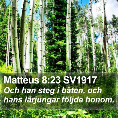Matteus 8:23 SV1917 Bible Verse Image
