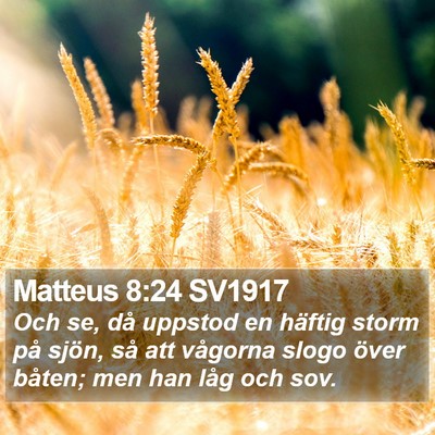 Matteus 8:24 SV1917 Bible Verse Image