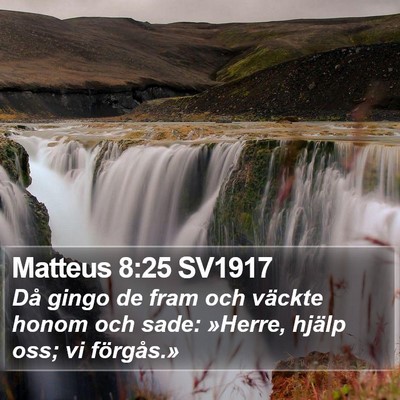 Matteus 8:25 SV1917 Bible Verse Image