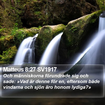 Matteus 8:27 SV1917 Bible Verse Image