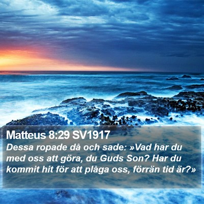 Matteus 8:29 SV1917 Bible Verse Image